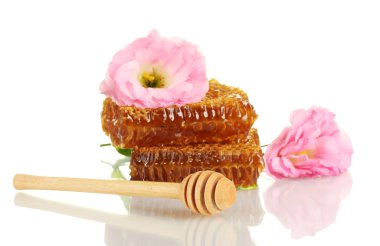 Bal ve üzerinde beyaz izole çiçeklerle peteğin