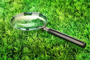 Yeşil çimenlerin üzerinde büyüteç