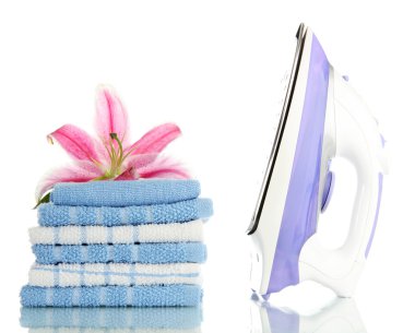 lily ve üzerinde beyaz izole elektrik demir elbise yığını