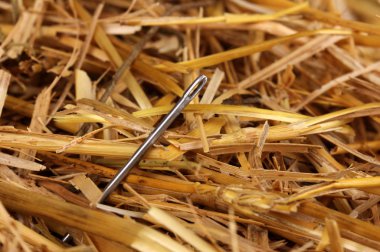 Needle in a haystack close-up clipart