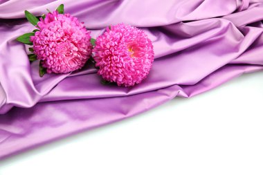 İpek zemin üzerine güzel aster çiçekler