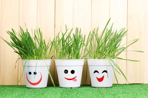 A pots of grass on wooden background — Stock Photo, Image