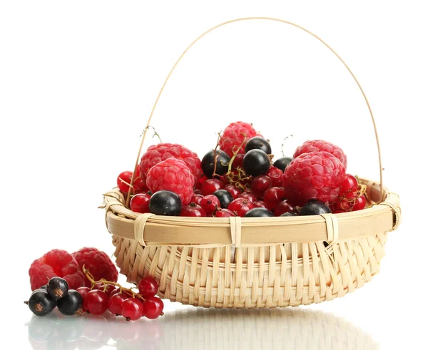 成熟的莓果在篮子上白色隔离 — 图库照片