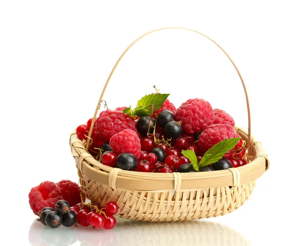 Ripe berries with mint in basket isolated on white — Stock Photo, Image