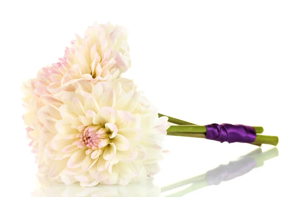 Bouquet of beautiful white dahlias tied with ribbon isolated on white — Stock Photo, Image