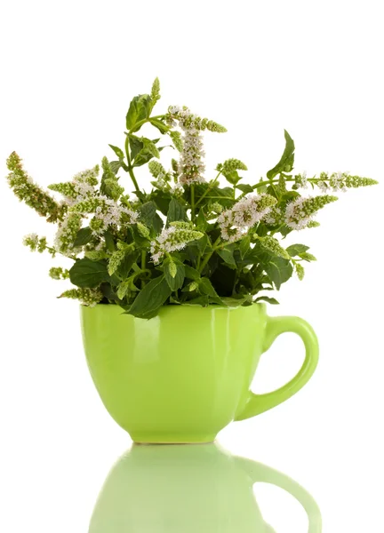 Hortelã fresca com flores em copo, isolado em branco — Fotografia de Stock