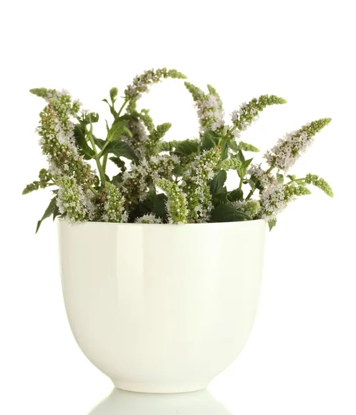 Menta fresca con flores en taza, aislada en blanco — Foto de Stock