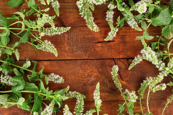 Menta fresca sobre fondo de madera de cerca — Foto de Stock