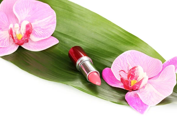 Lipstick on green leaf isolated on white — Stock Photo, Image
