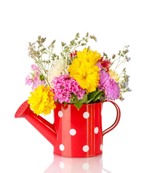 Red watering can with white polka-dot with flowers isolated on white — Stock Photo, Image