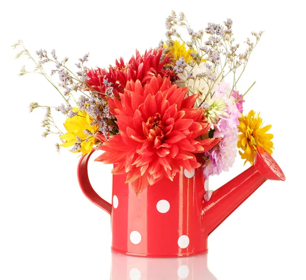 Red watering can with white polka-dot with flowers isolated on white — Stock Photo, Image