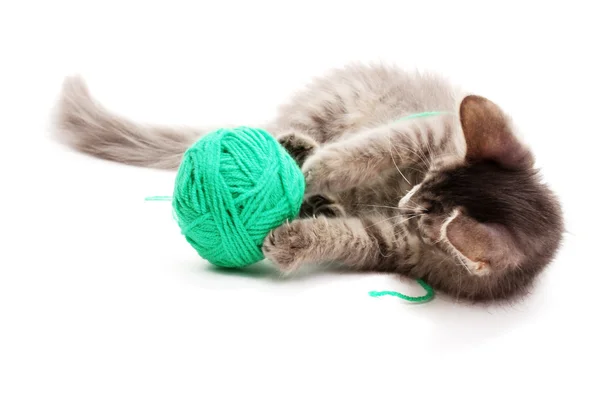 Piccolo gattino grigio giocare con il filato per lavorare a maglia isolato su bianco — Foto Stock