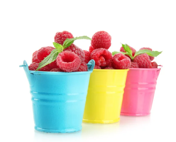 Beautiful raspberries in buckets isolated on white — Stock Photo, Image