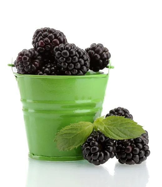 Beautiful blackberries with leaves in bucket isolated on white — Stock Photo, Image