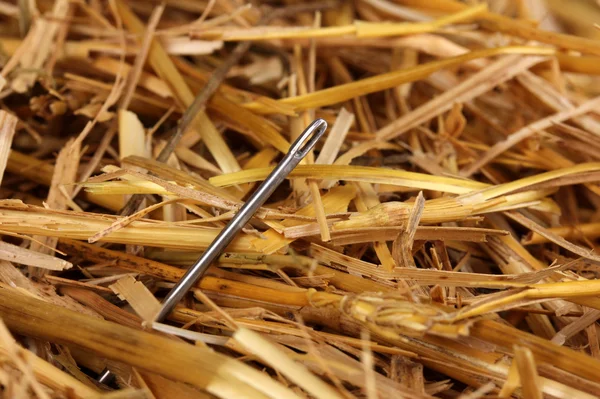 Иголка в стоге сена крупным планом — стоковое фото