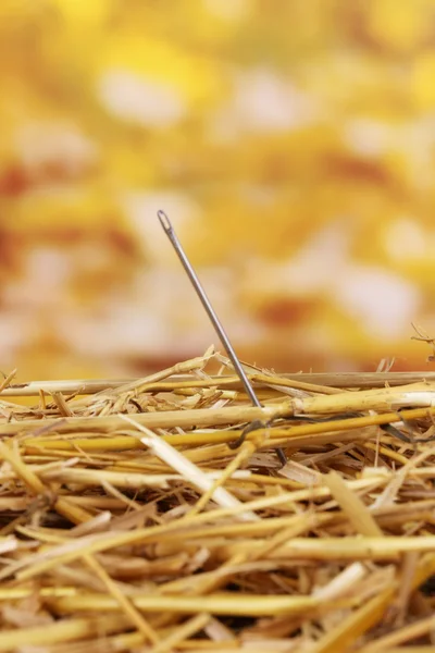 Needle in a haystack close-up — Stock Photo, Image