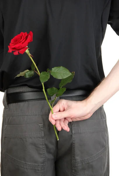 Man holding rose close-up — Stock Photo, Image