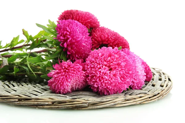 Pink aster flowers, isolated on white — Stock Photo, Image