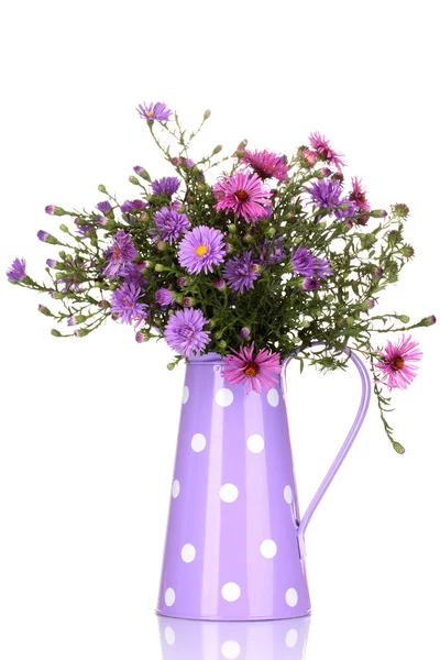 Beautiful bouquet of purple flowers in watering can isolated on white — Stock Photo, Image