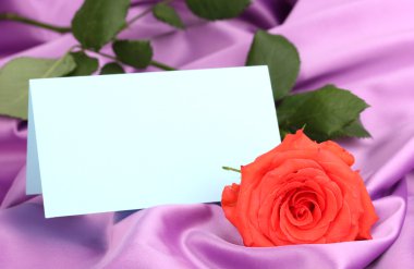 Lila kumaş üzerine güzel gül