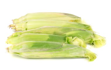 taze mısır koçanı üzerinde beyaz izole