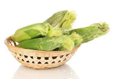 Fresh corn cobs in basket isolated on white