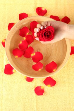 su arıtma için eller, yakın çekim