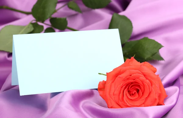 Beautiful rose on lilac cloth — Stock Photo, Image
