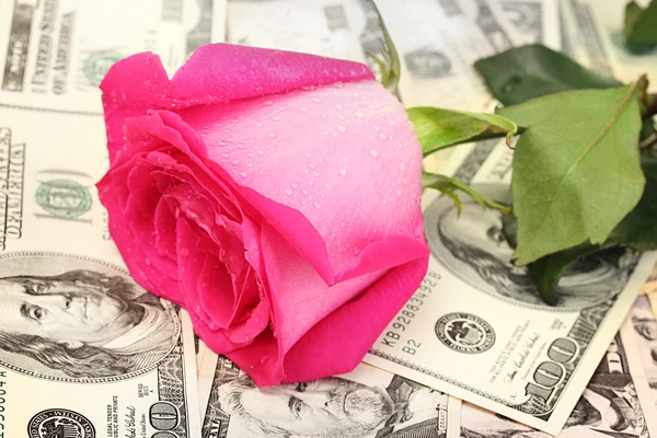 Concept of love and money — Stock Photo, Image