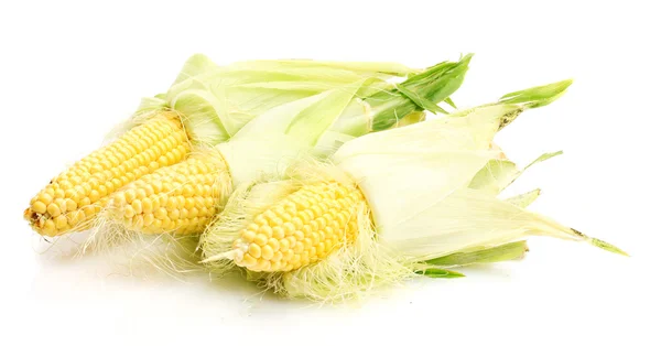 Färsk majs isolerad på vitt — Stockfoto