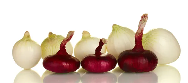 Cebolla blanca y roja aislada sobre fondo blanco — Foto de Stock