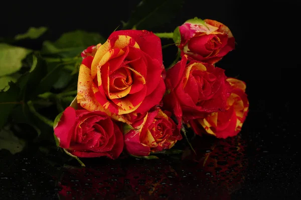 Belas rosas vermelho-amarelas no fundo preto close-up — Fotografia de Stock