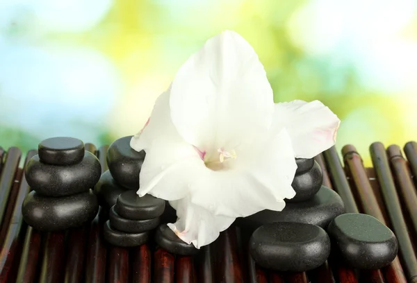 Pierres de spa avec bourgeon de gladiole sur tapis de bambou close-up — Photo