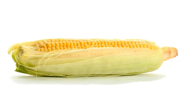 Färsk majs, isolerad på vit — Stockfoto