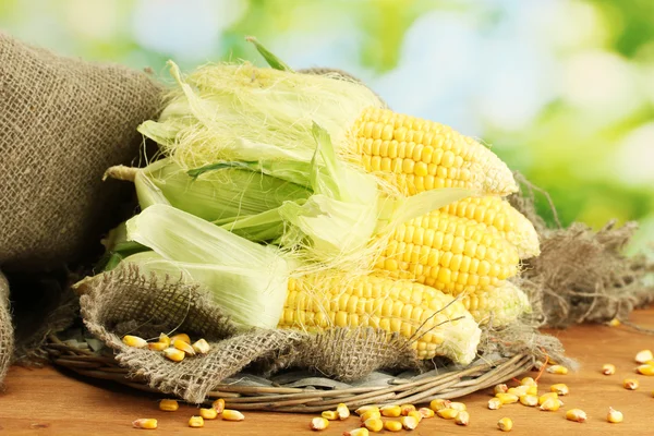 Fresh corn, on wooden table, on green background — Stock Photo, Image