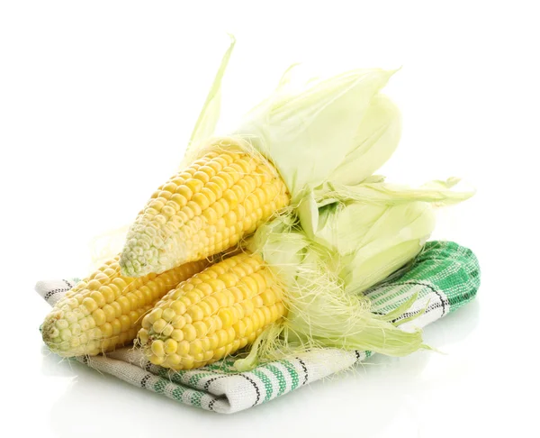 Fresh corn, isolated on white — Stock Photo, Image