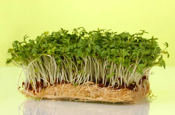Fresh cress salad on green background — Stock Photo, Image