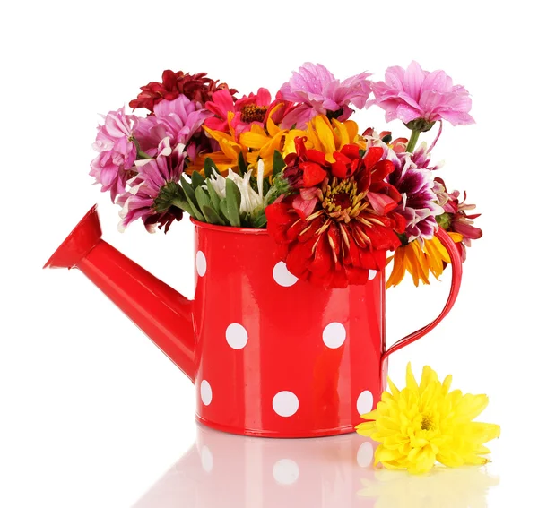 Red watering can of peas with flowers isolated on white — Stock Photo, Image