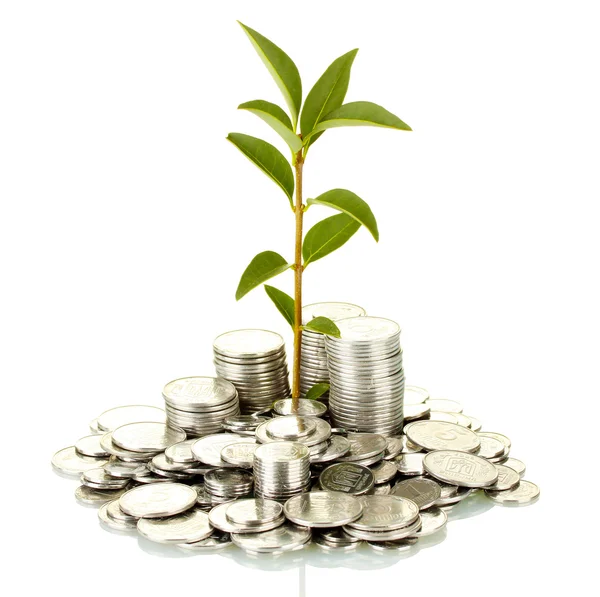 Plant growing out of silver coins isolated on white — Stock Photo, Image