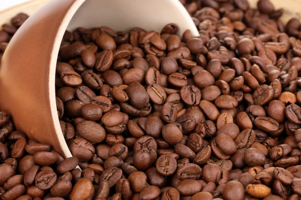 Koffiebonen en cup close-up — Stockfoto
