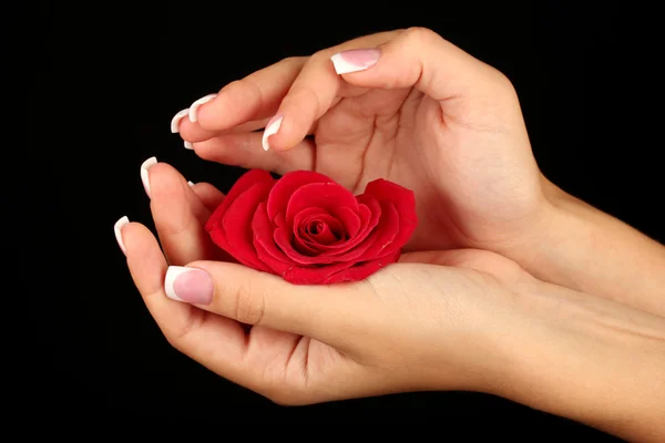 Rosa vermelha com as mãos da mulher no fundo preto — Fotografia de Stock