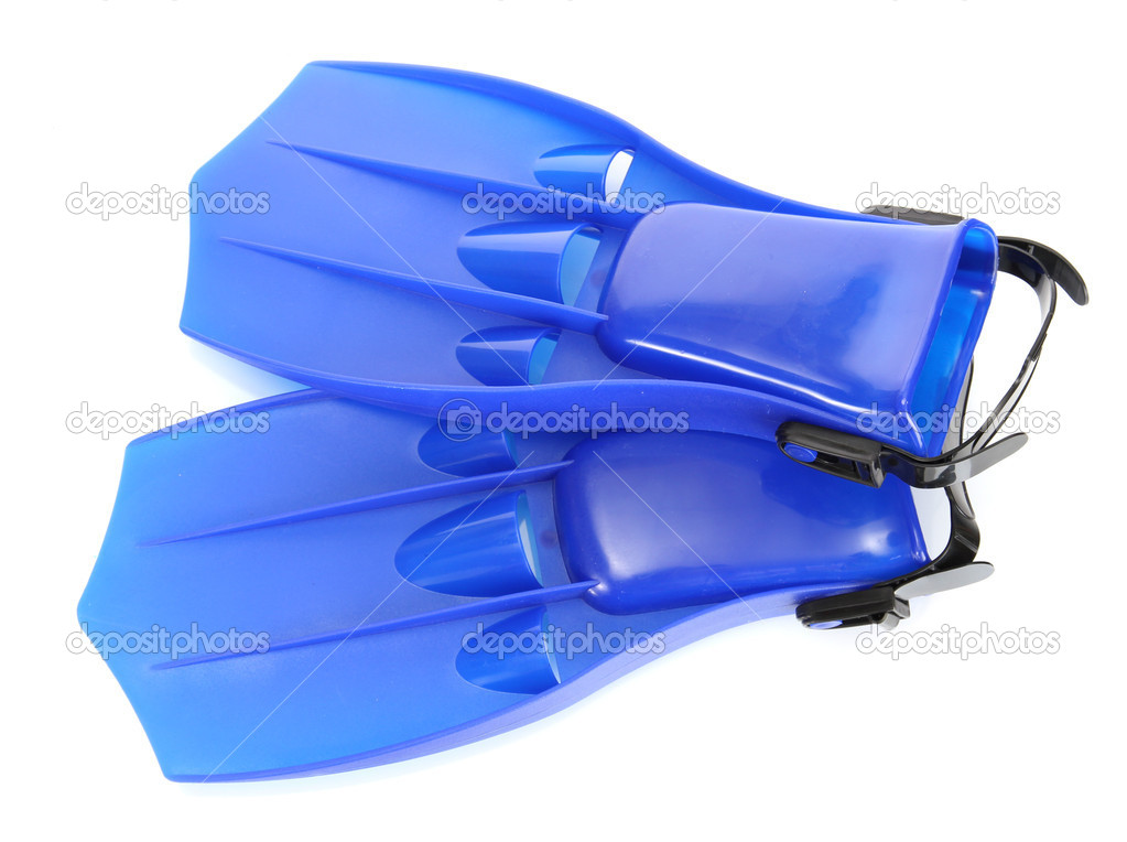 blue flippers isolated on white