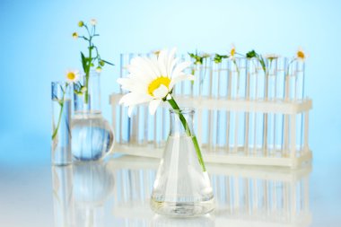 test tüpleri ile şeffaf bir çözüm ve bitki üzerinde mavi arka plan yakın çekim