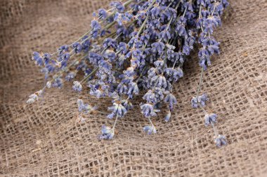 Lavender flowers on sackcloth