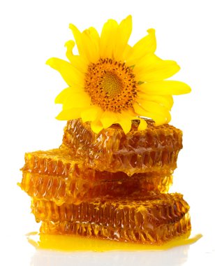 Bal ve ayçiçeği, üzerinde beyaz izole ile tatlı peteğin