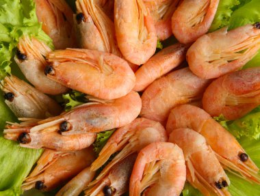 marul yaprakları, haşlanmış karides yakın çekim