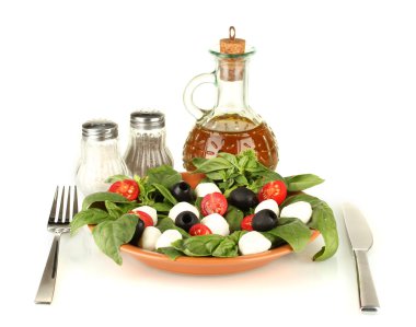 peynir Mozzarella peyniri çatal ve bıçak isolatae ile tabak sebze ile