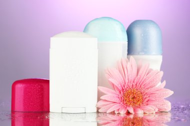 deodorant botttles mor zemin çiçek