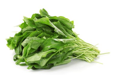 taze kuzukulağı üzerinde beyaz izole