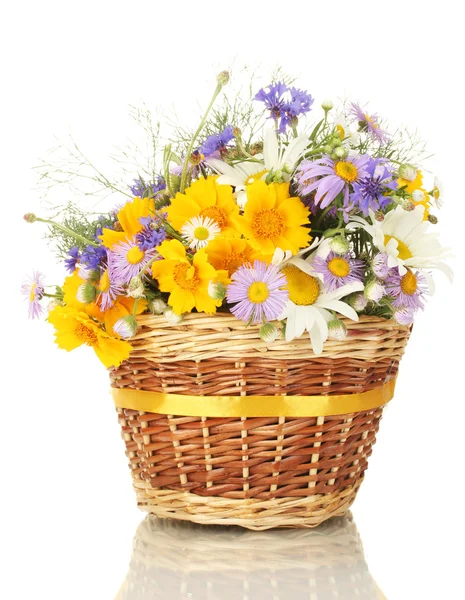 Beautiful bouquet of bright wildflowers in basket, isolated on white — Stock Photo, Image